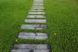 Pathways